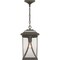 Progress Lighting Abbott Collection One-Light Hanging Lantern P550040-020 - alternate 4